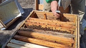 Осмотр пчел весной. Как я расширяю семь пчел весной. Весенние работы на пасеке