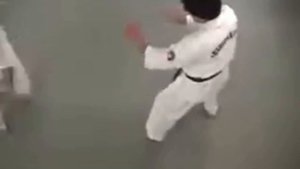 Эншин Каратэ - Широ Оби но ката