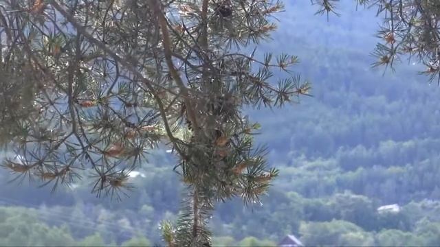 La Rochette - Guillestre (NL) смотреть онлайн