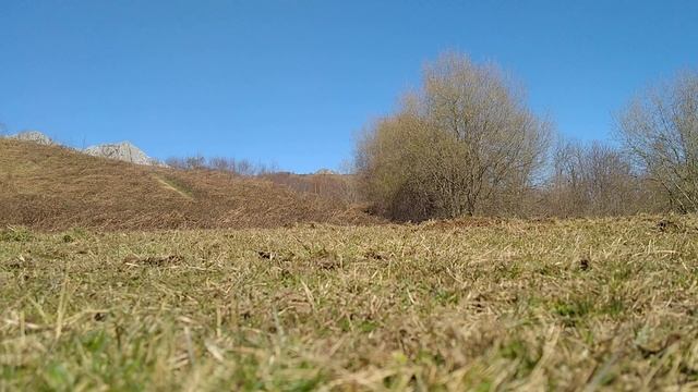 Nissan patrol 3.3 6 cilindros смотреть онлайн