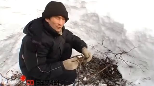 Колба(ЧЕРЕМША) в Шерегеше, как и где её добывают смотреть онлайн