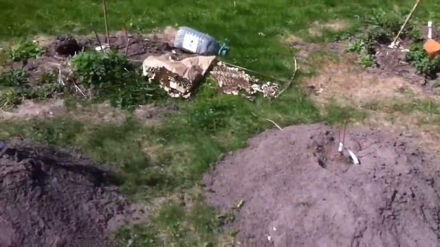 ГОЛУБИКА. ПОСАДКА ГОЛУБИКИ. ТопСад.TopSad. смотреть онлайн