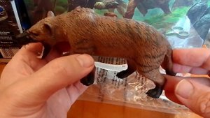 Safari Ltd Hyaenodon Gigas - Гиенодон