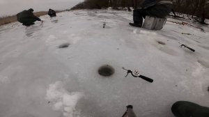 ЛОВЛЯ КАРАСЯ ЗИМОЙ НА МОТЫЛЯ СО ЛЬДА ЖОР КАРАСЯ