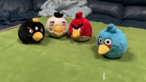 Angry Birds Beta Series Concept