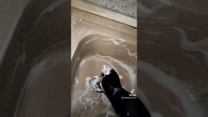 как отбелить каменную раковину