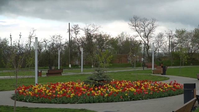 Парад тюльпанов в Усть Донецком