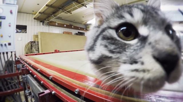 Малазийский стол ч.1 (Malaysian table repairing in Russia) WL86 смотреть онлайн