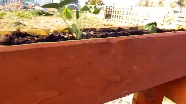 Вертикальные грядки плюсы и минусы. смотреть онлайн