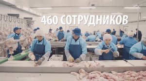 В Тюмени выращивают индюшек