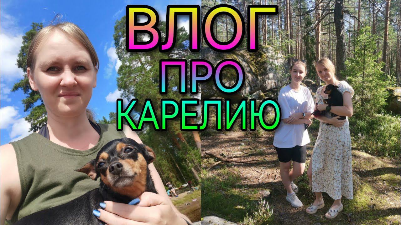 ВЛОГ про Карелию. Как съездили, что видели, что случилось с огородом без нас. смотреть онлайн