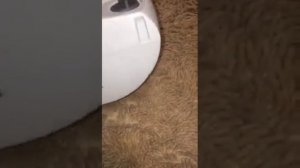 Обзор ТЕПЛОВЕНТИЛЯТОР РЕСАНТА ТВС-1 2КВТ из Сулпак