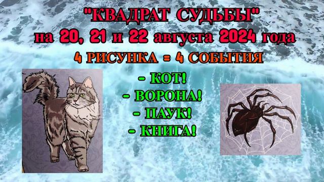 ВОДОЛЕЙ: ВАШИ 4 СОБЫТИЯ на 20, 21 и 22 АВГУСТА 2024 года от 
