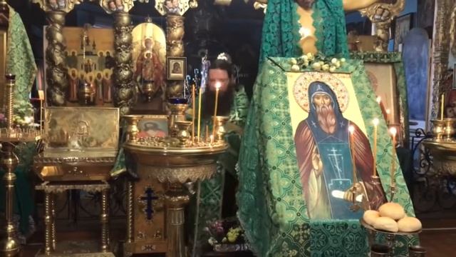Прп. Евфимия, архим. Суздальского, чудотворца. Суздаль РПАЦ 14.04.2021 год смотреть онлайн