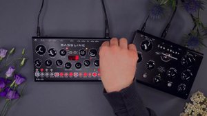 Erica Synths Bassline DB-01 Sound Demo (no talking) with Zen Delay