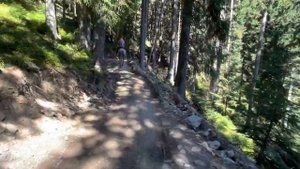 Карпатские горы - конная прогулка на вершину