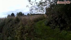 Карелия. Полузаброшенная деревня Ватчела (кар. Vuaččel)