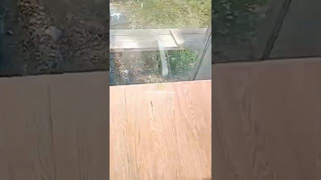 МОНТАЖ ПОДСВЕТКИ СТУПЕНЕЙ ЛЕСТНИЦЫ _ Как КАЧЕСТВЕННО смонтировать подсветку_ _ Обзор на нашу работу смотреть онлайн