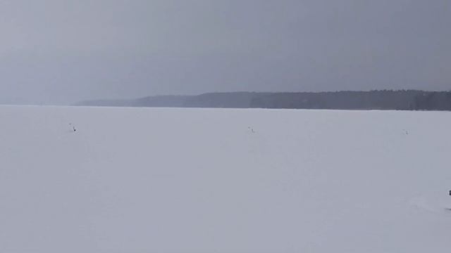 Ловим судака на поставухи на тюльку на сильном изломе погоды смотреть онлайн