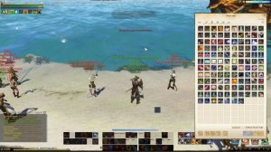 Анимагическая лихорадка- ArcheAge 5.5 - Хазе.