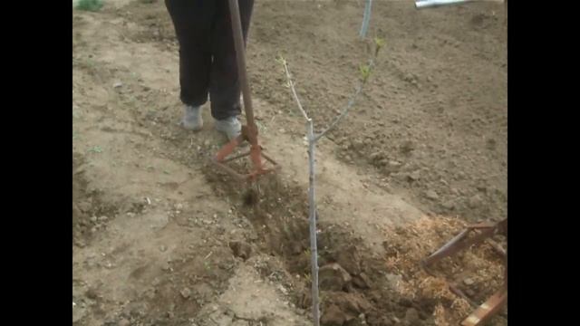 Чудо -лопата / miracle shovel смотреть онлайн