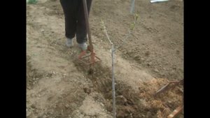 Чудо -лопата / miracle shovel