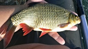 182.Квесты 19.mp4