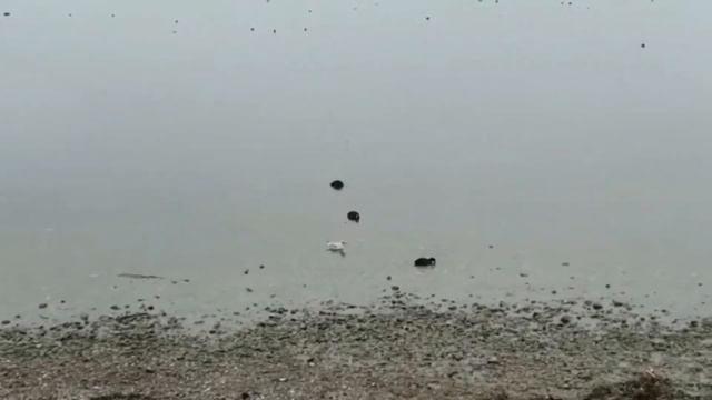 Зимнее озеро Кимзе.