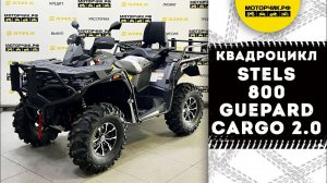 Квадроцикл Stels ATV 800 Guepard FF Trophy EPS CARGO 2.0 в цвете карбон!