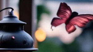 Спокойной ночи- сладких снов - открытки