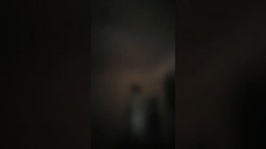 Дозвонилась до службы спасения животных и птиц