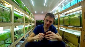 Аквариумист в деле - самоделки - субстрат для нереста