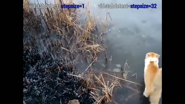 #19. Two-pass video stabilizing | FFmpeg смотреть онлайн