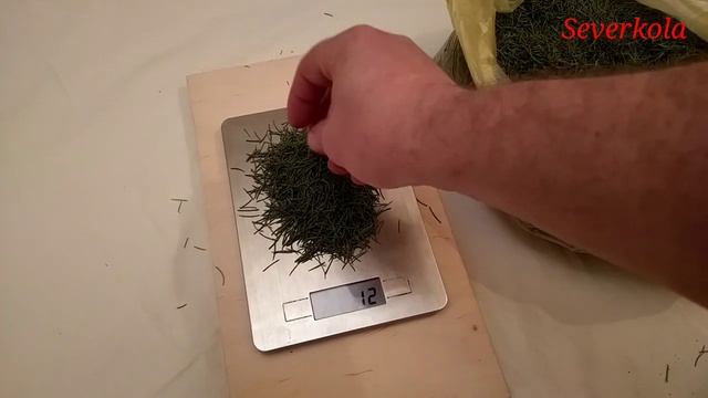 Сколько ШТУК иголок на ёлке ? Новый Год это и праздник и интересная информация :)
