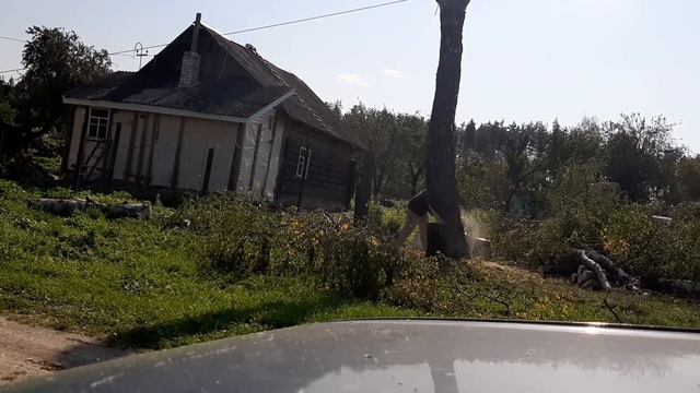 удаление аварийных деревьев