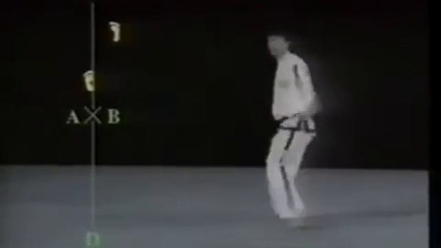 12. 1-й Дан. Ге-Бек Туль с диаграммой передвижения.