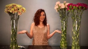 Диантусы vs Гвоздики