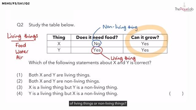 PSLE SCIENCE MADE SIMPLE EP132 | Living & Non-Living Things | Can Non-Living Things Grow? ?