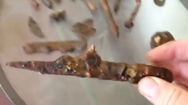 Minelab safari смотреть онлайн