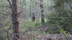 Костюм защитный сетчатый (КЗС) СССР на местности