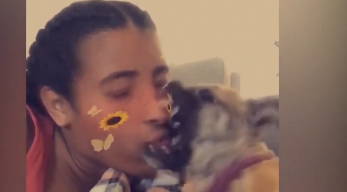 Смешные приколы #44 смотреть онлайн