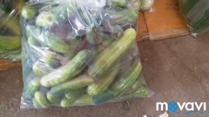 Самый дешёвый самый большой рынок продуктовый у Колизея Тепразит обзор цены  Паттайя Таиланд