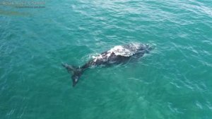 Красивая Музыка для Души. Мелодия Дающая Энергию и Силы Жить. Послушайте и не пожалеете ?