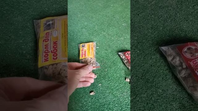 Сухой корм для собак. Показываем размер гранулы #кормдлясобак #сухойкорм #корм #гранулы #премиумкор