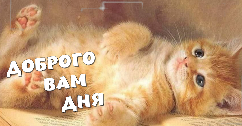 Добрый День! Желаю провести день, улыбаясь!