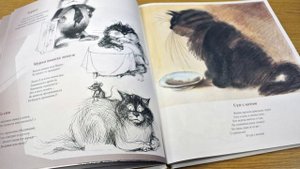 Виктор Чижиков, Андрей Усачёв. Полное собрание котов