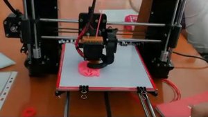3D принтер.Как печатает цветок 3D принтер.