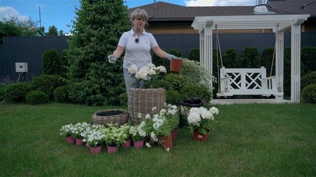 Сад с нуля Контейнерное озеленение.