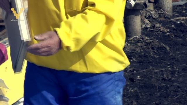 Как спасти слабые семьи весной смотреть онлайн