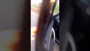 рено логан дизель